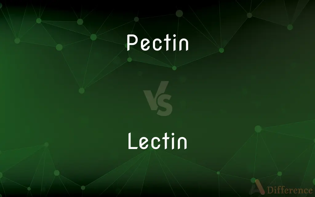 Pectin vs. Lectin — What's the Difference?