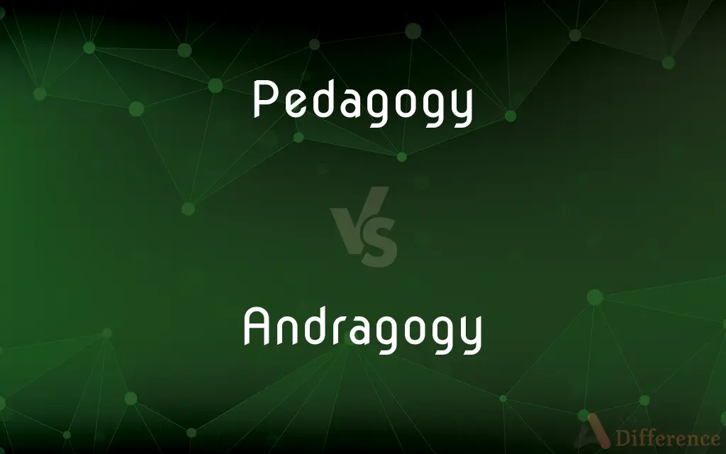 Pedagogy vs. Andragogy — What's the Difference?