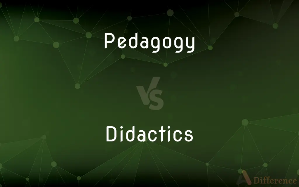Pedagogy vs. Didactics — What's the Difference?