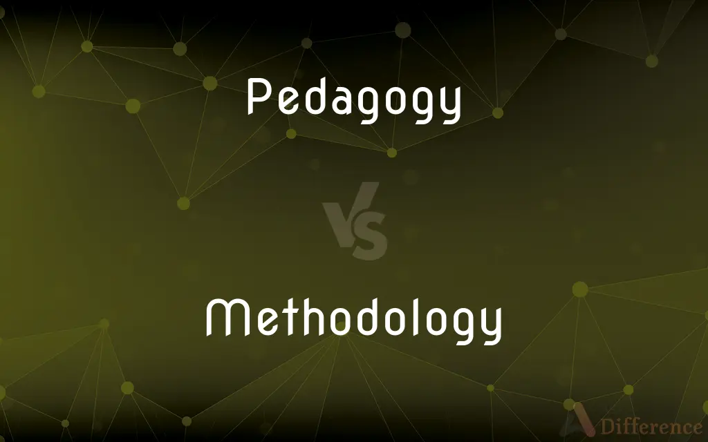 Pedagogy vs. Methodology — What's the Difference?