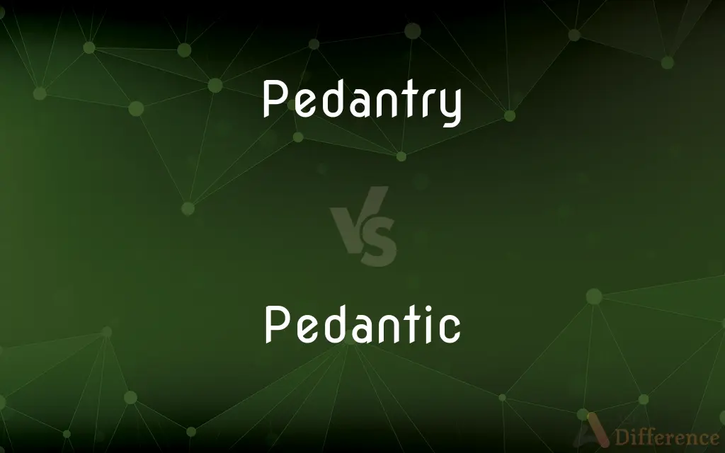 Pedantry vs. Pedantic — What's the Difference?