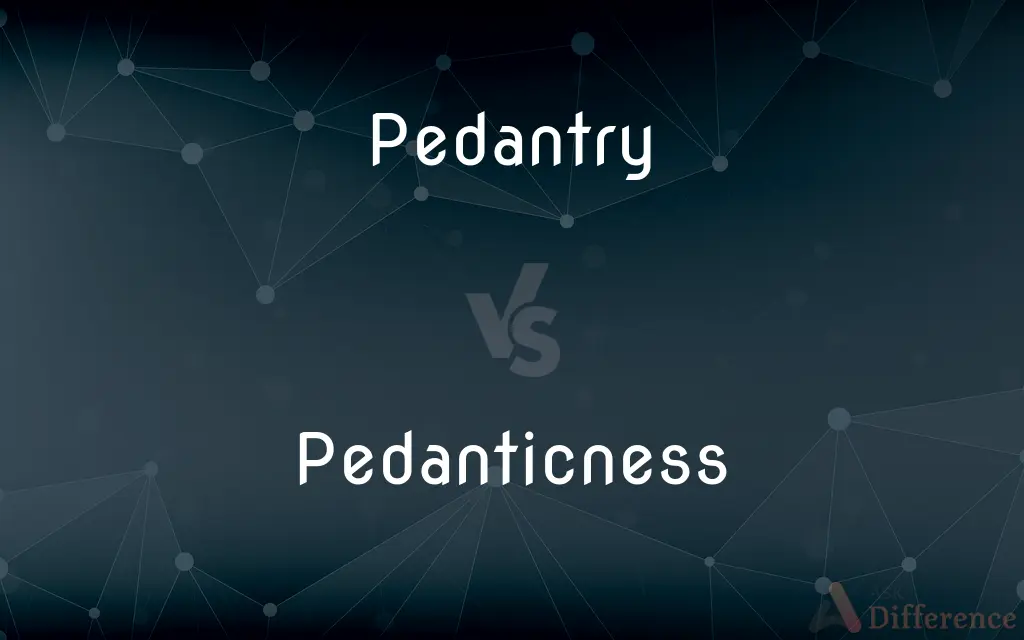Pedantry vs. Pedanticness — What's the Difference?