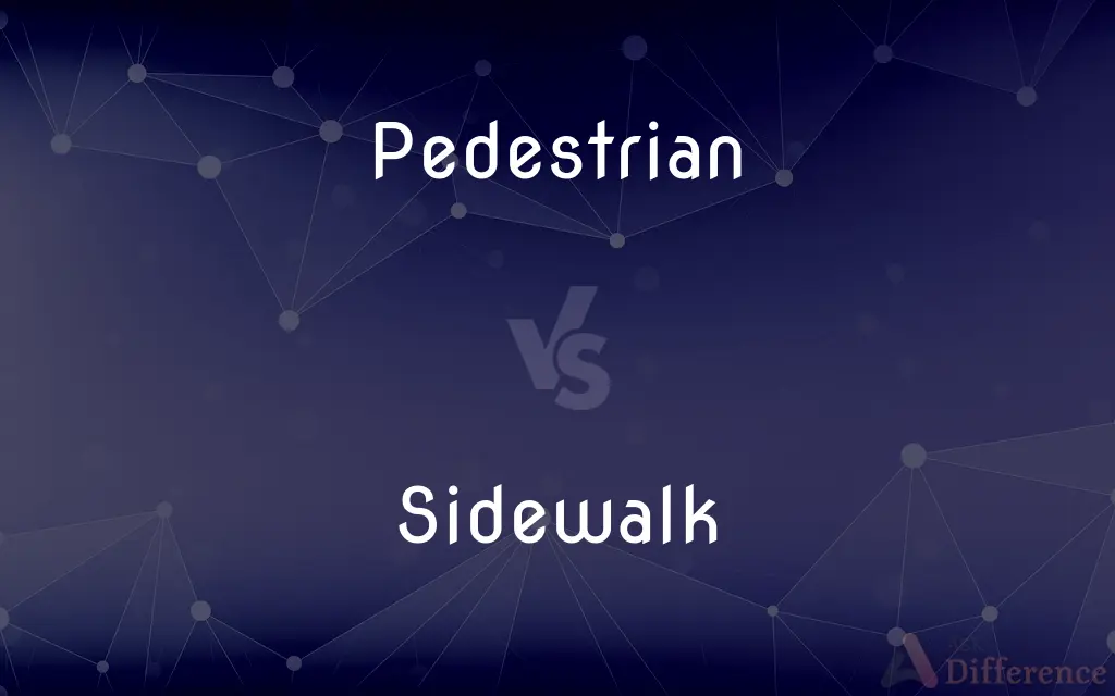 Pedestrian vs. Sidewalk — What's the Difference?