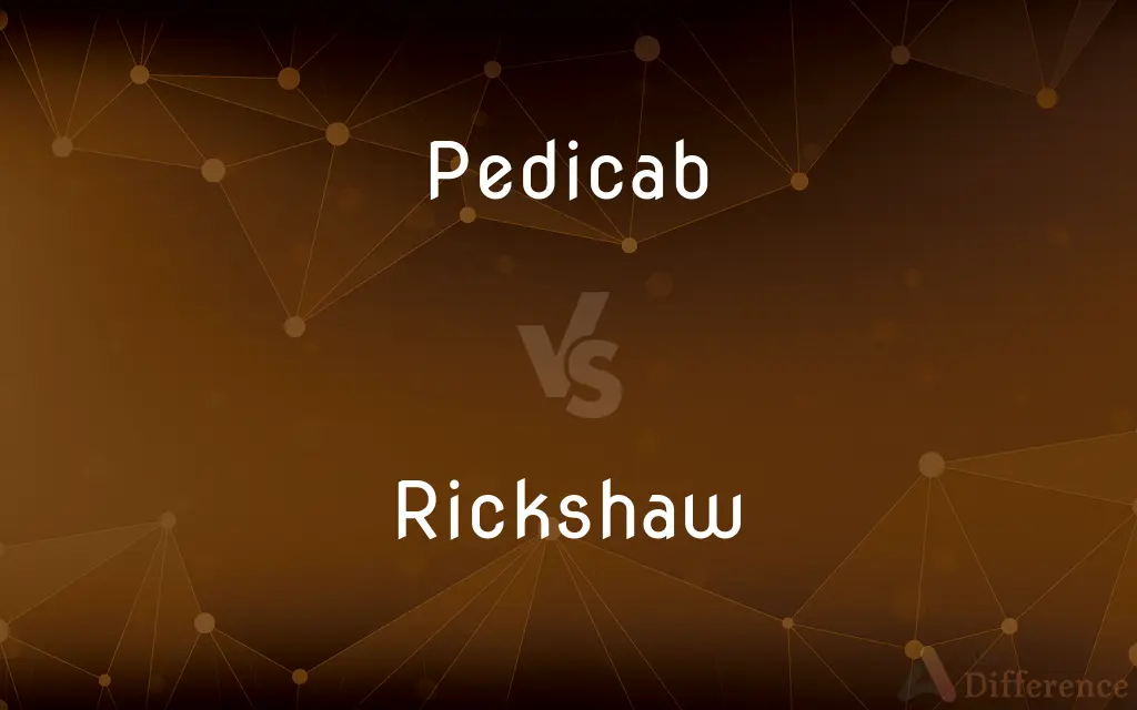 Pedicab vs. Rickshaw — What's the Difference?