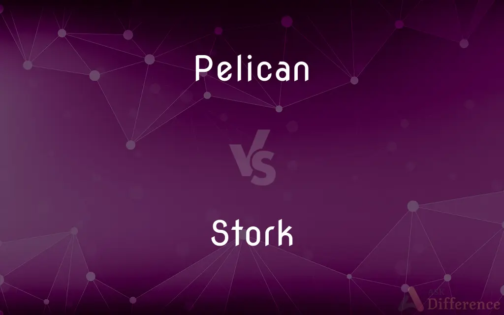 Pelican vs. Stork — What's the Difference?