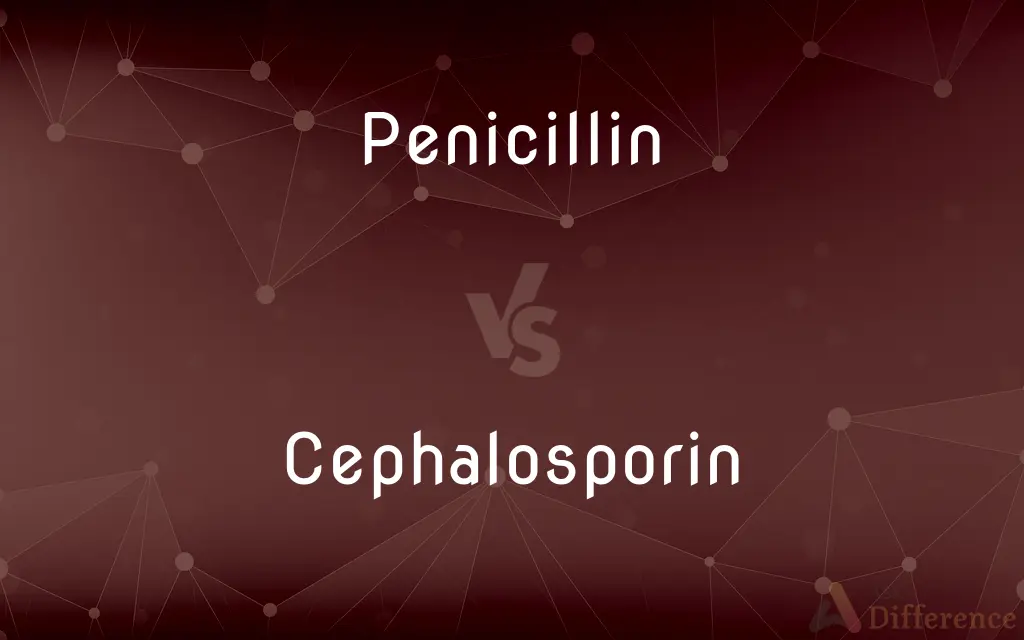 Penicillin vs. Cephalosporin — What's the Difference?