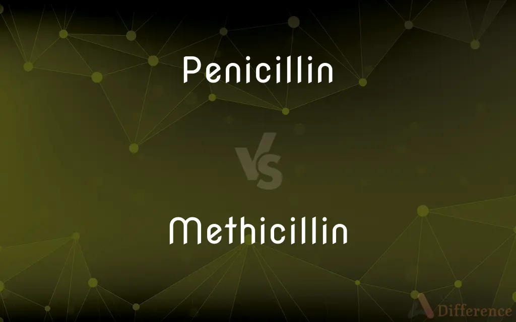 Penicillin vs. Methicillin — What's the Difference?