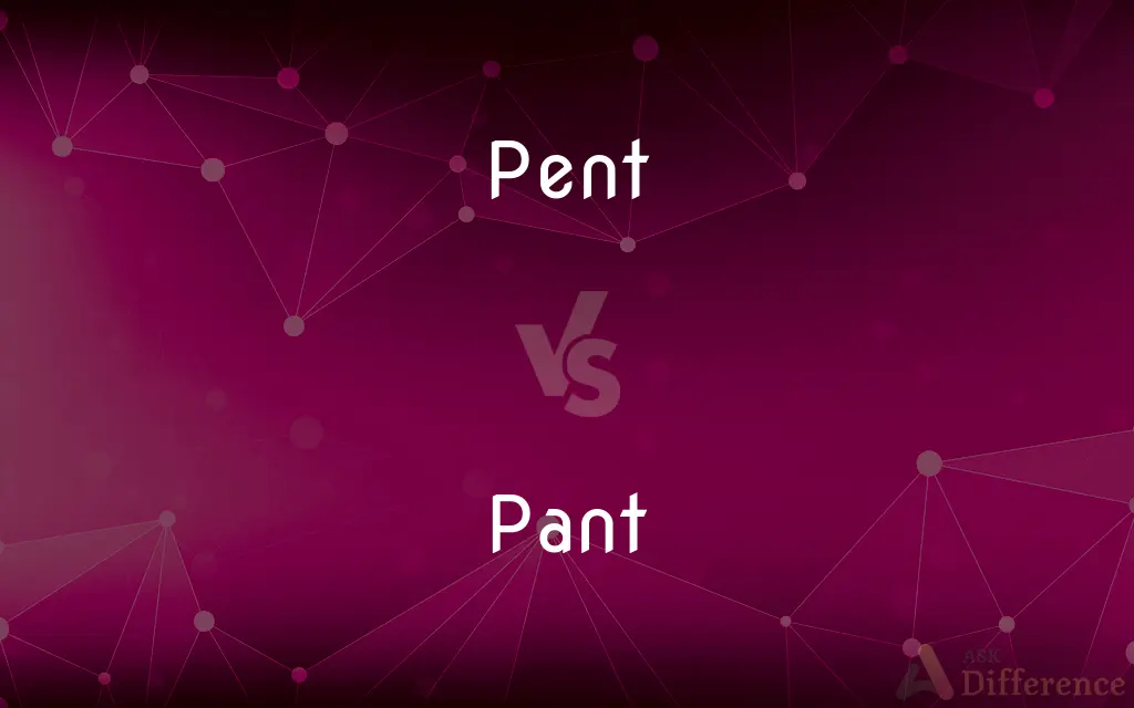Pent vs. Pant — What's the Difference?