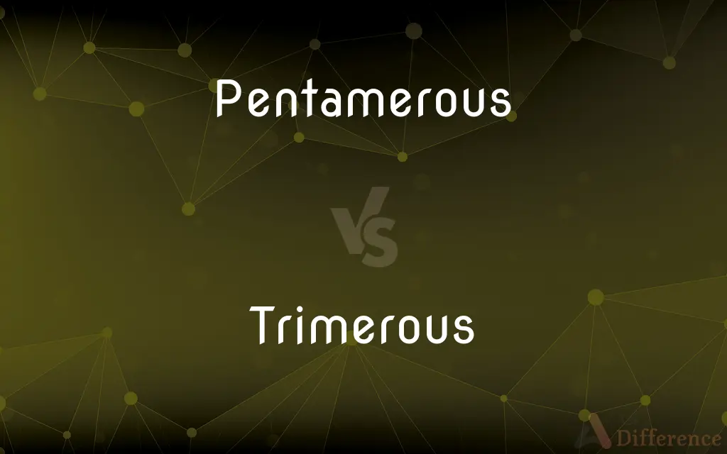 Pentamerous vs. Trimerous — What's the Difference?