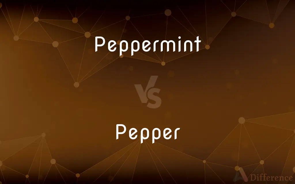 Peppermint vs. Pepper — What's the Difference?