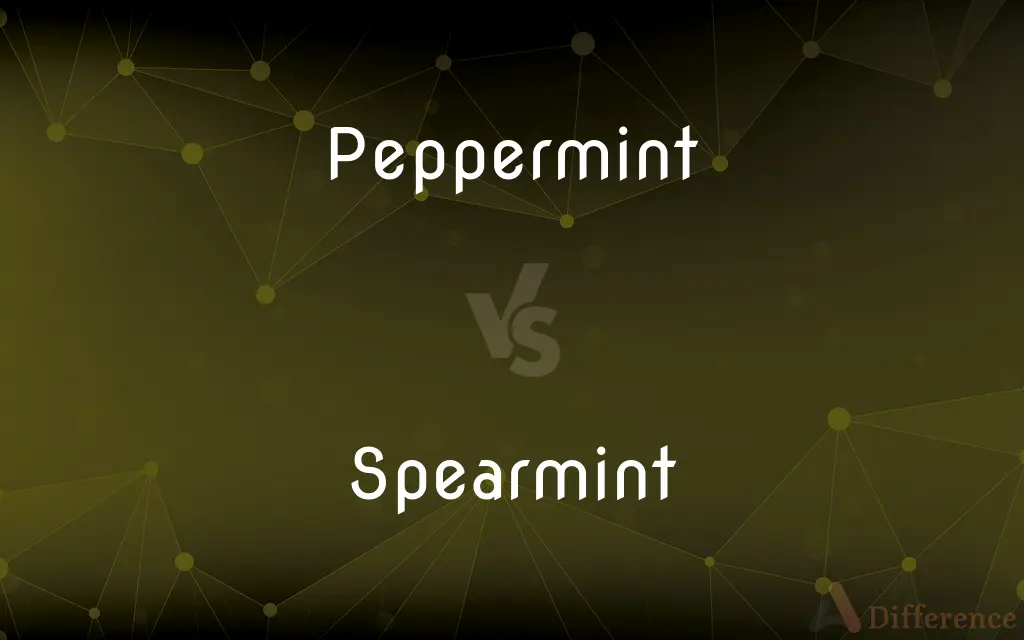Peppermint vs. Spearmint — What's the Difference?