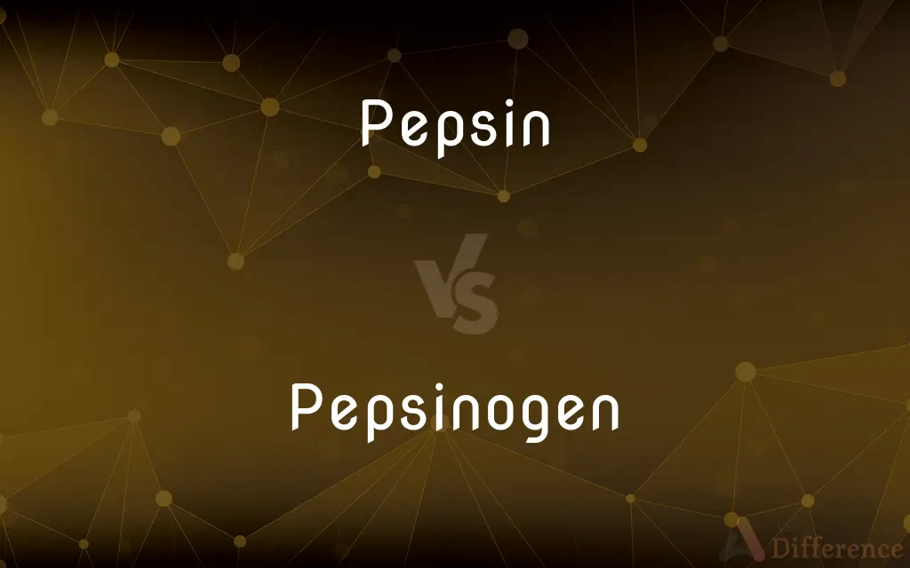 Pepsin vs. Pepsinogen — What's the Difference?