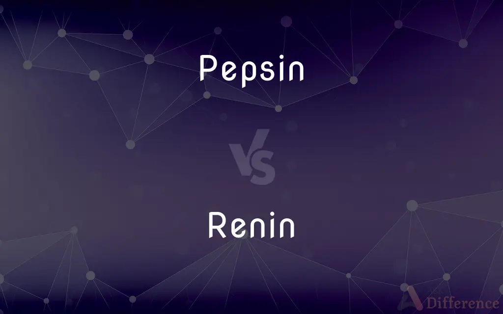 Pepsin vs. Renin — What's the Difference?