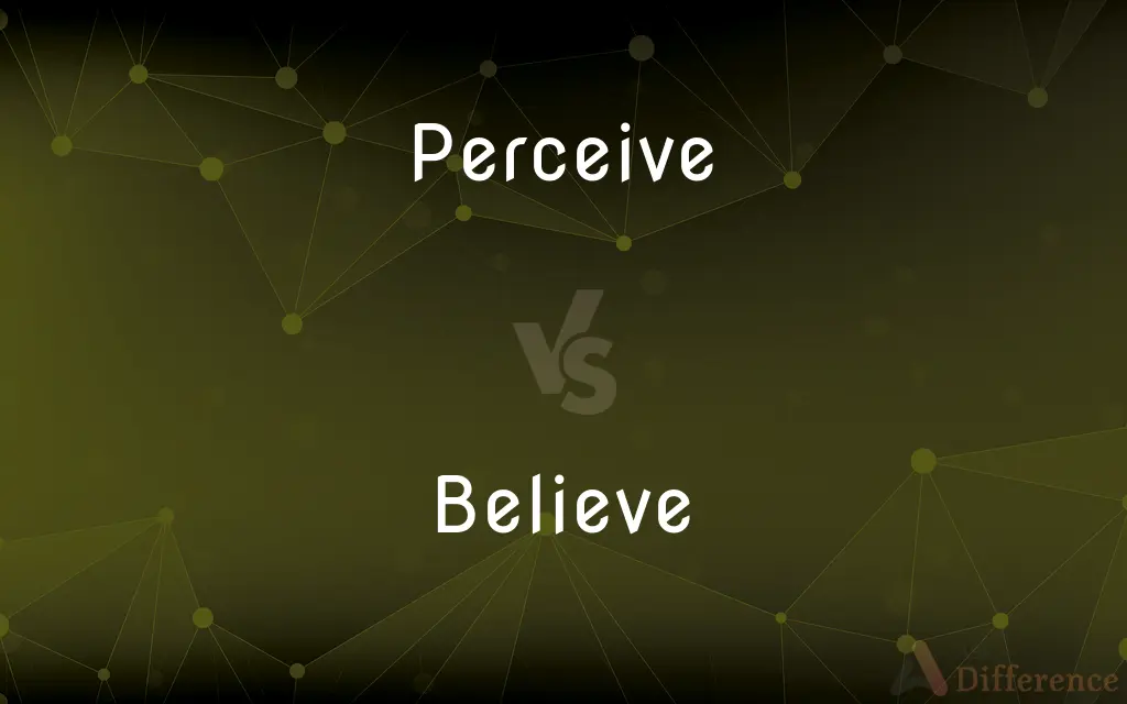 Perceive vs. Believe — What's the Difference?