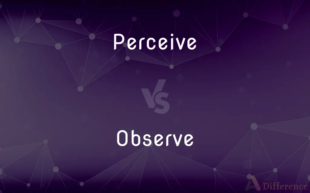 Perceive vs. Observe — What's the Difference?