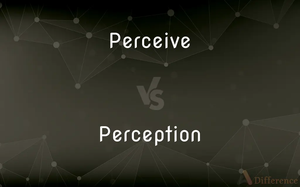 Perceive vs. Perception — What's the Difference?