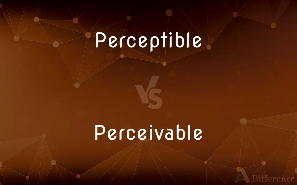 Perceptible vs. Perceivable — What's the Difference?