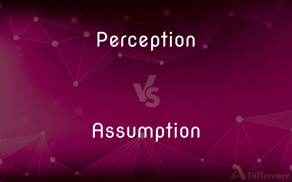 Perception vs. Assumption — What's the Difference?