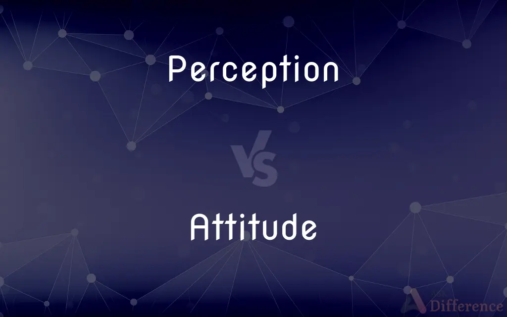 Perception vs. Attitude — What's the Difference?