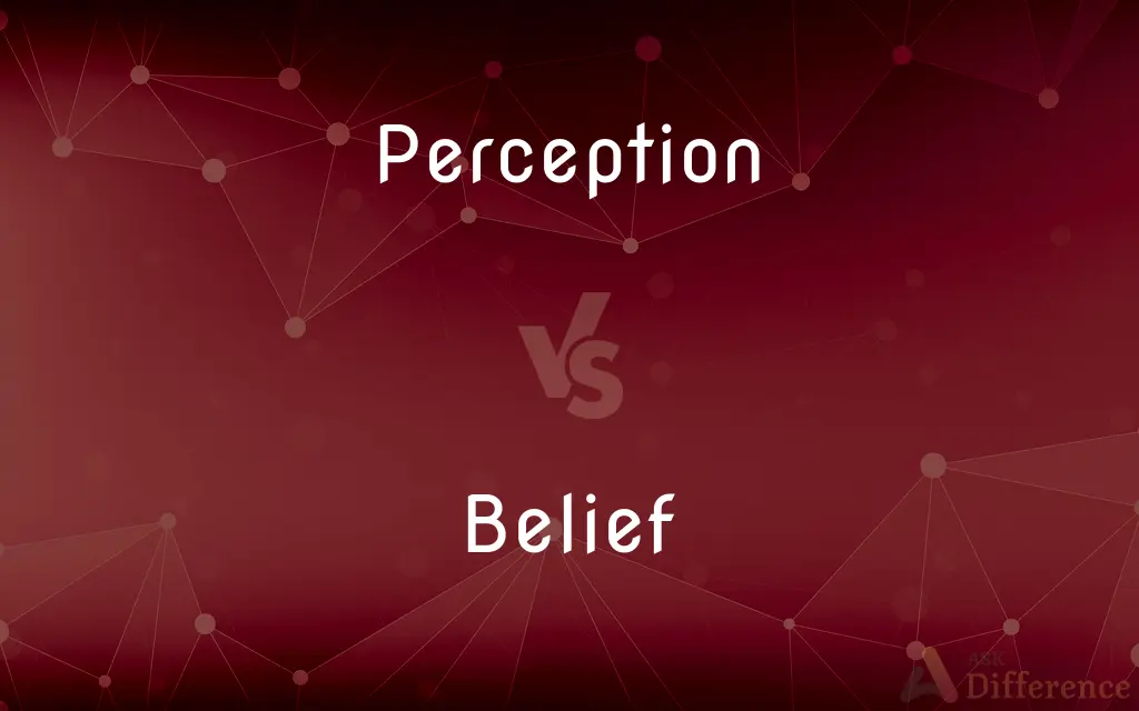 Perception vs. Belief — What's the Difference?
