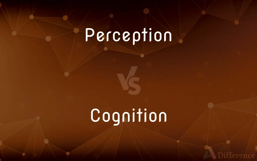 Perception vs. Cognition — What's the Difference?