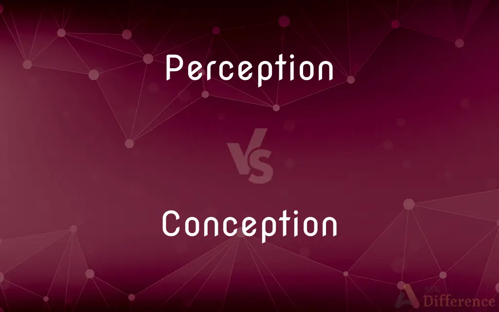 Perception vs. Conception — What's the Difference?