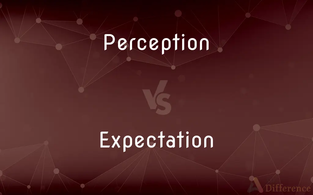 Perception vs. Expectation — What's the Difference?