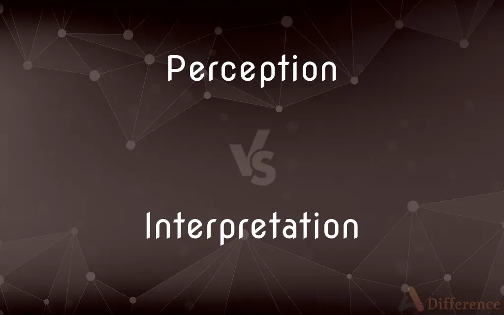 Perception vs. Interpretation — What's the Difference?