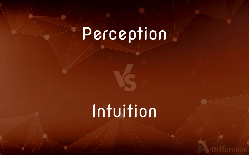 Perception vs. Intuition — What's the Difference?