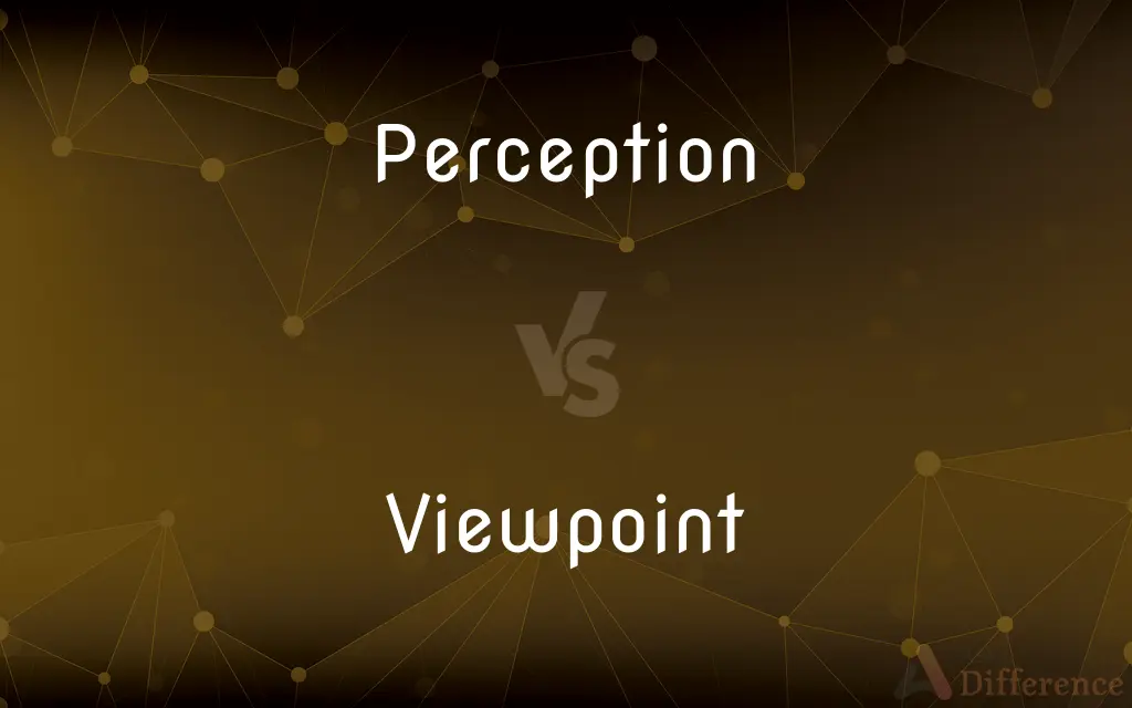 Perception vs. Viewpoint — What's the Difference?