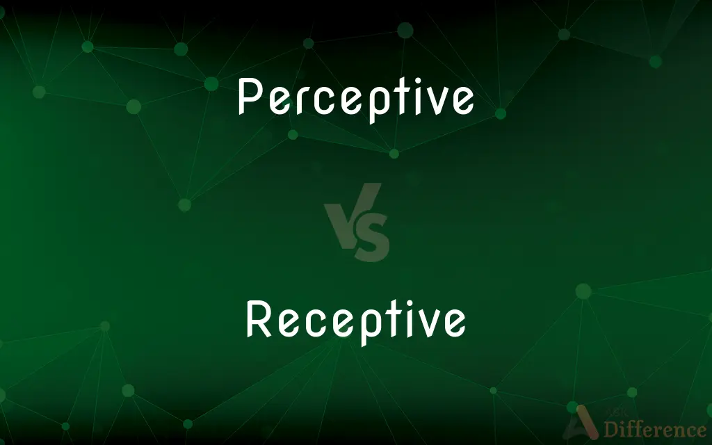 Perceptive vs. Receptive — What's the Difference?