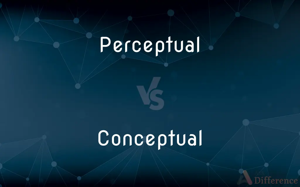 Perceptual vs. Conceptual — What's the Difference?