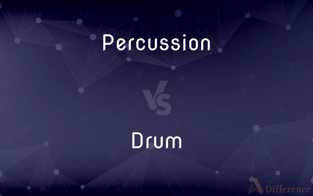 Percussion vs. Drum — What's the Difference?