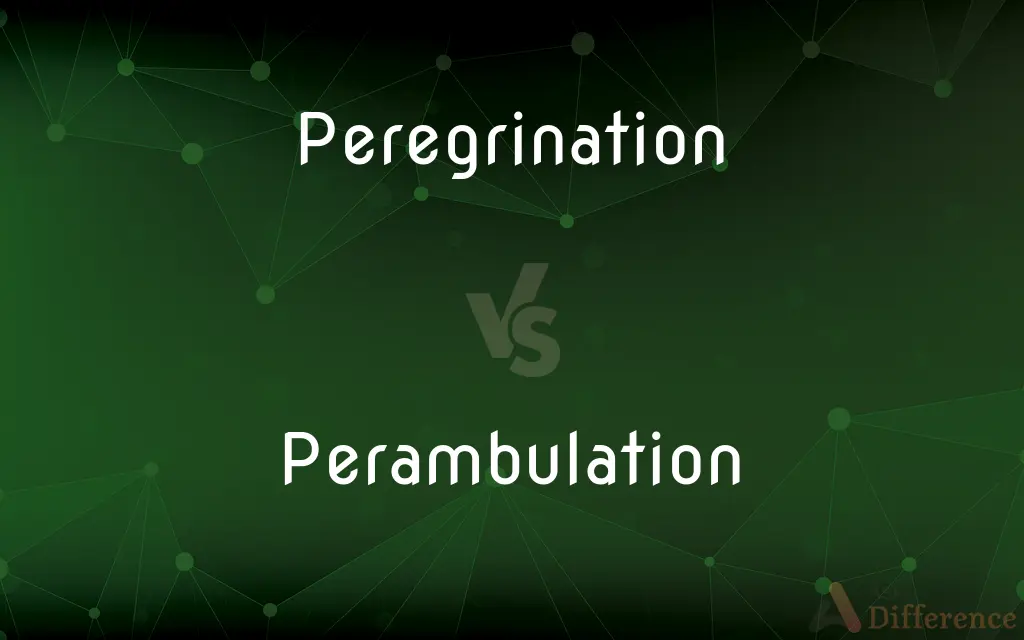 Peregrination vs. Perambulation — What's the Difference?