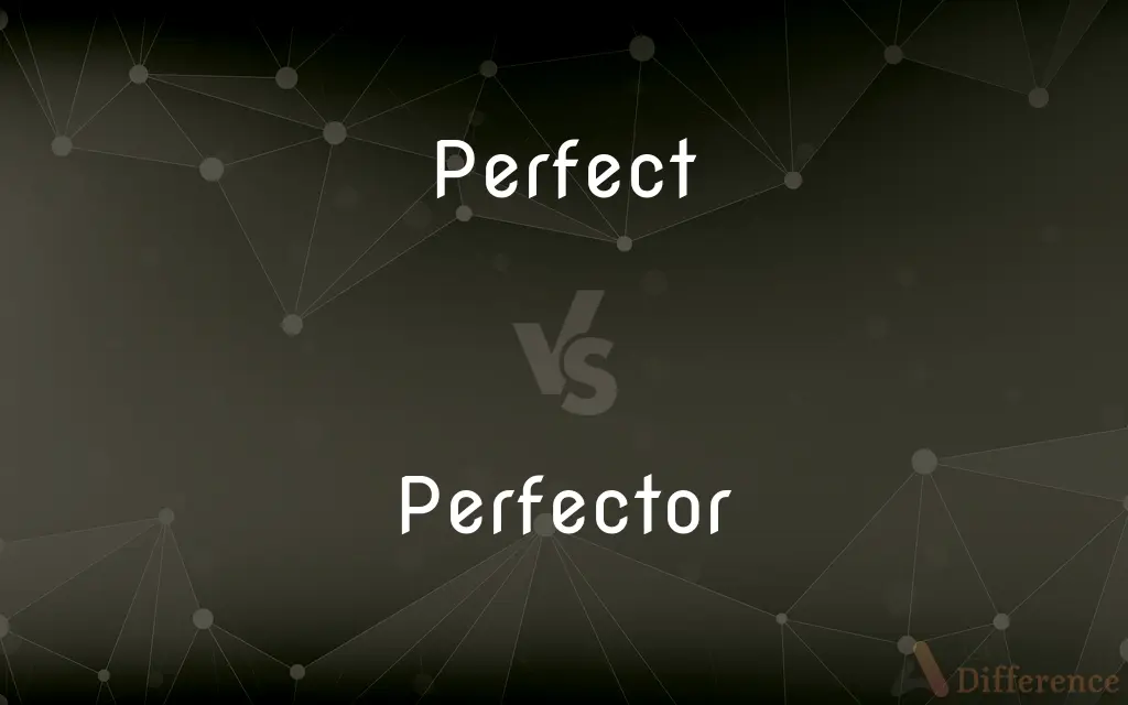 Perfect vs. Perfector — What's the Difference?