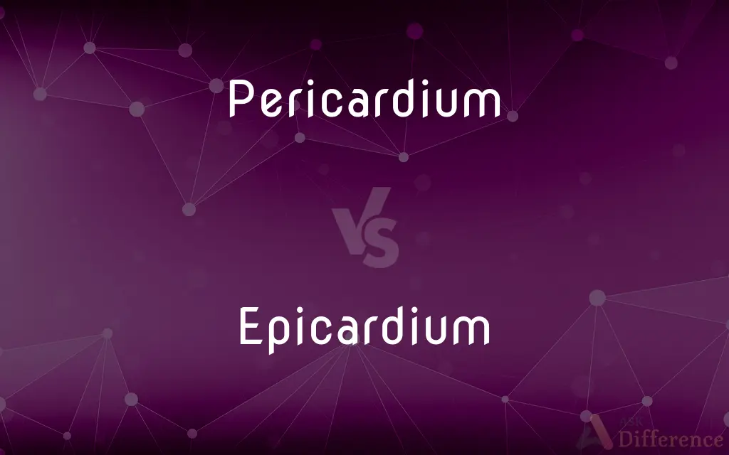 Pericardium vs. Epicardium — What's the Difference?