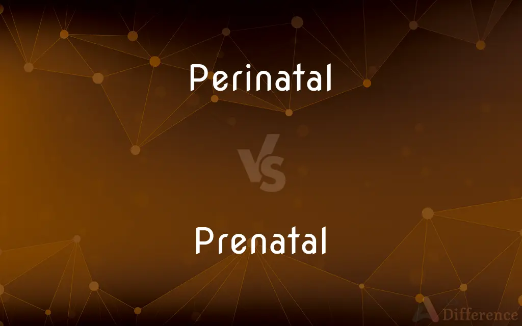 Perinatal vs. Prenatal — What's the Difference?