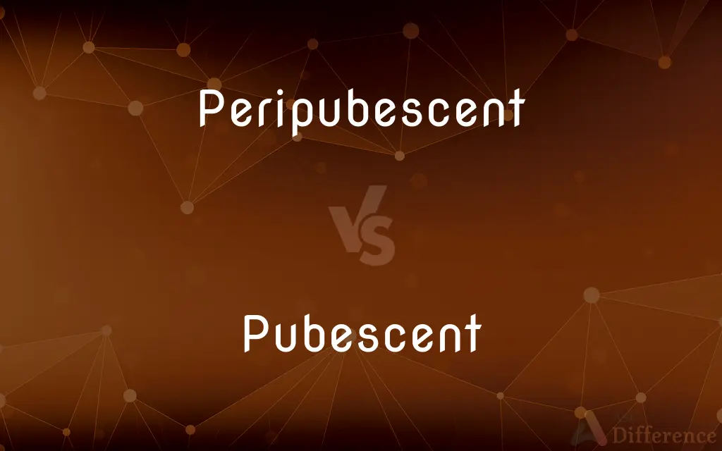 Peripubescent vs. Pubescent — What's the Difference?