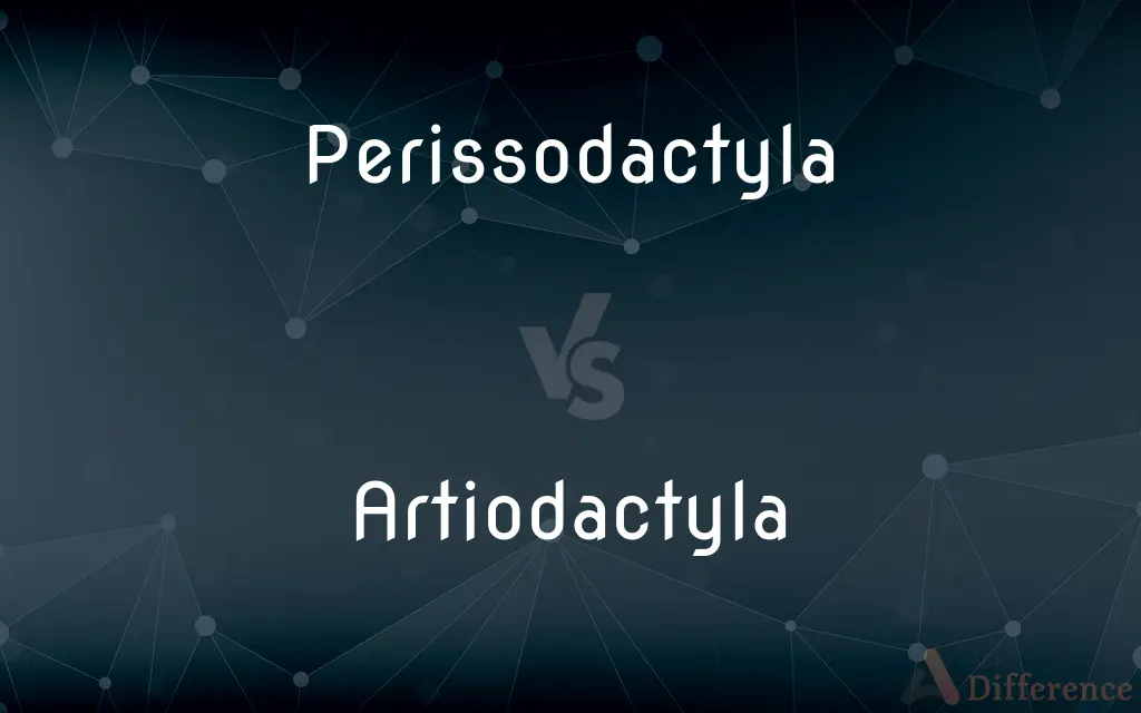 Perissodactyla vs. Artiodactyla — What's the Difference?