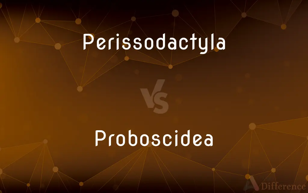 Perissodactyla vs. Proboscidea — What's the Difference?