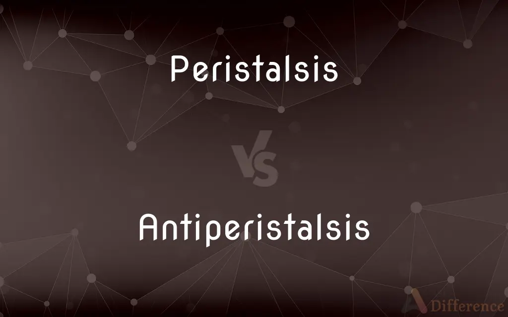 Peristalsis vs. Antiperistalsis — What's the Difference?