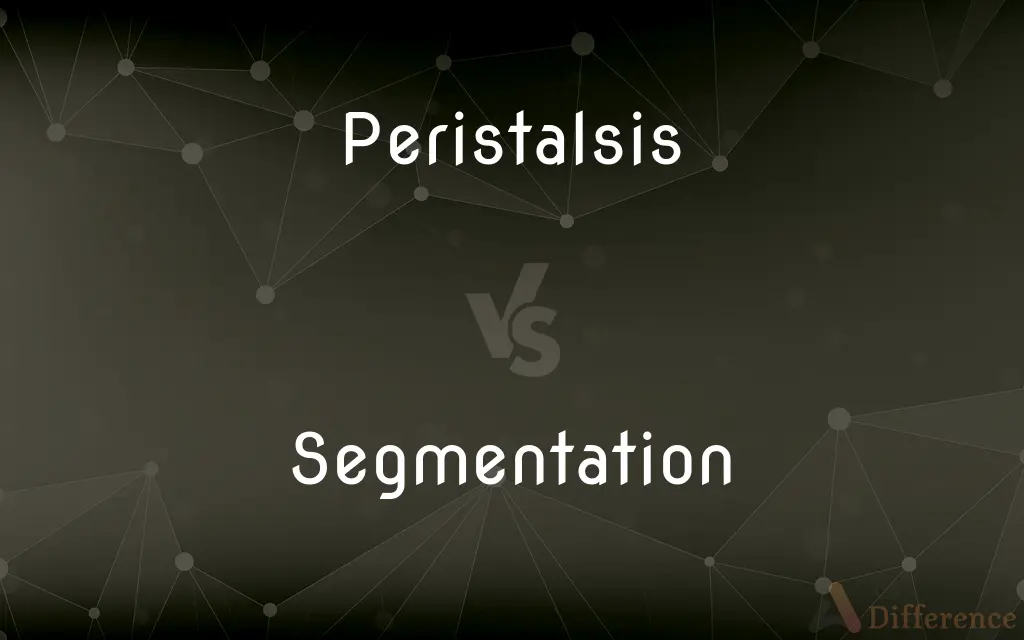 Peristalsis vs. Segmentation — What's the Difference?