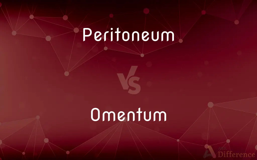 Peritoneum vs. Omentum — What's the Difference?