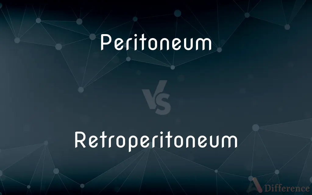 Peritoneum vs. Retroperitoneum — What's the Difference?