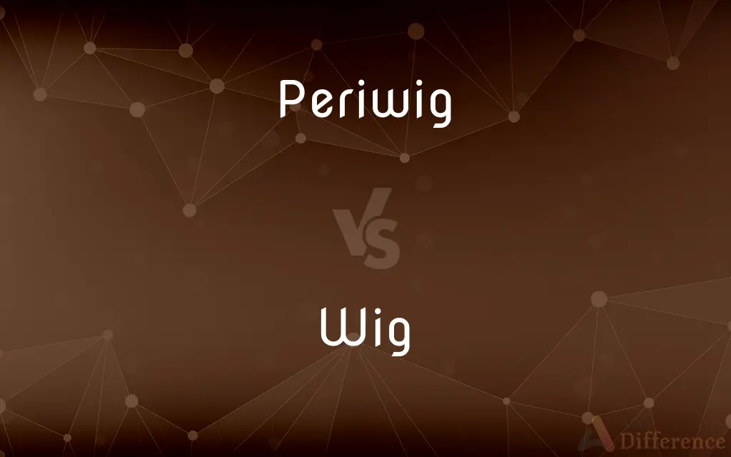 Periwig vs. Wig — What's the Difference?