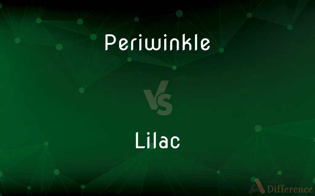 Periwinkle vs. Lilac — What's the Difference?