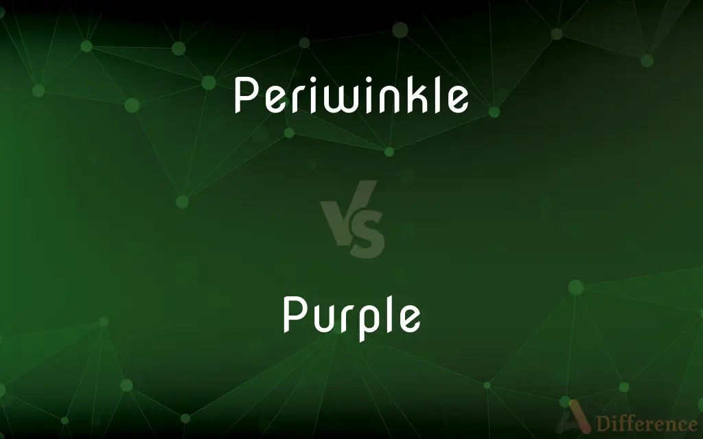 Periwinkle vs. Purple — What's the Difference?
