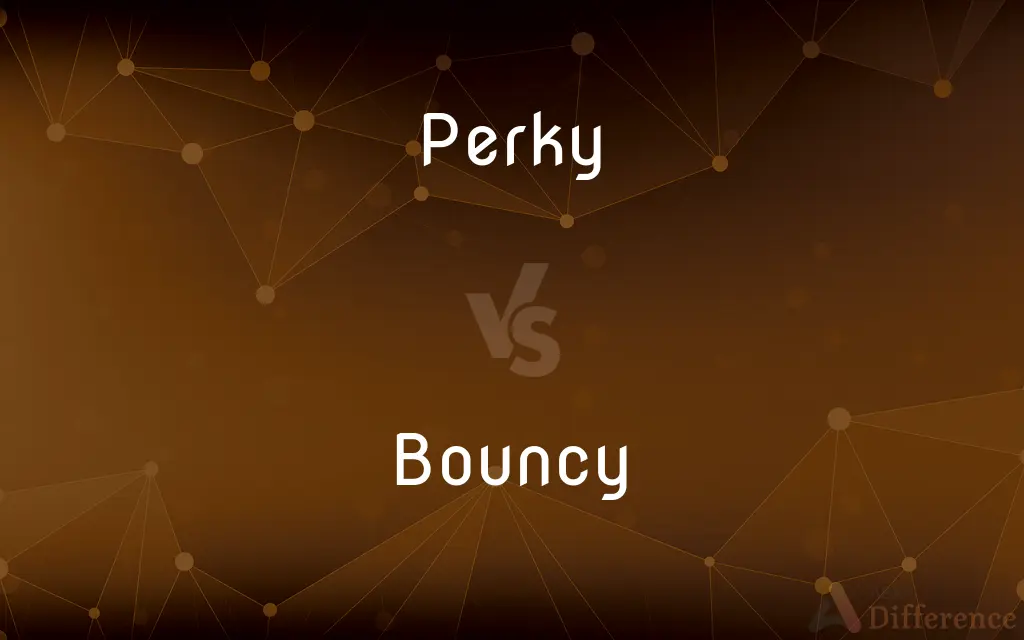 Perky vs. Bouncy — What's the Difference?
