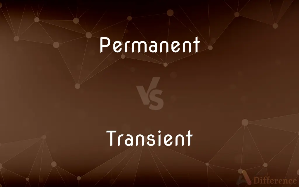 Permanent vs. Transient — What's the Difference?