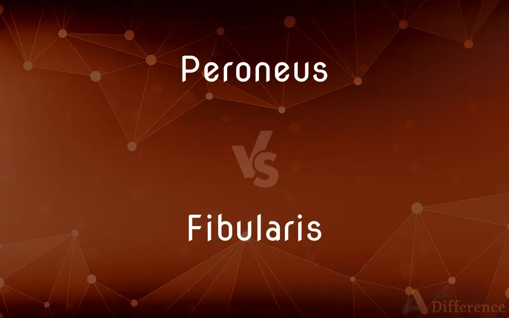Peroneus vs. Fibularis — What's the Difference?